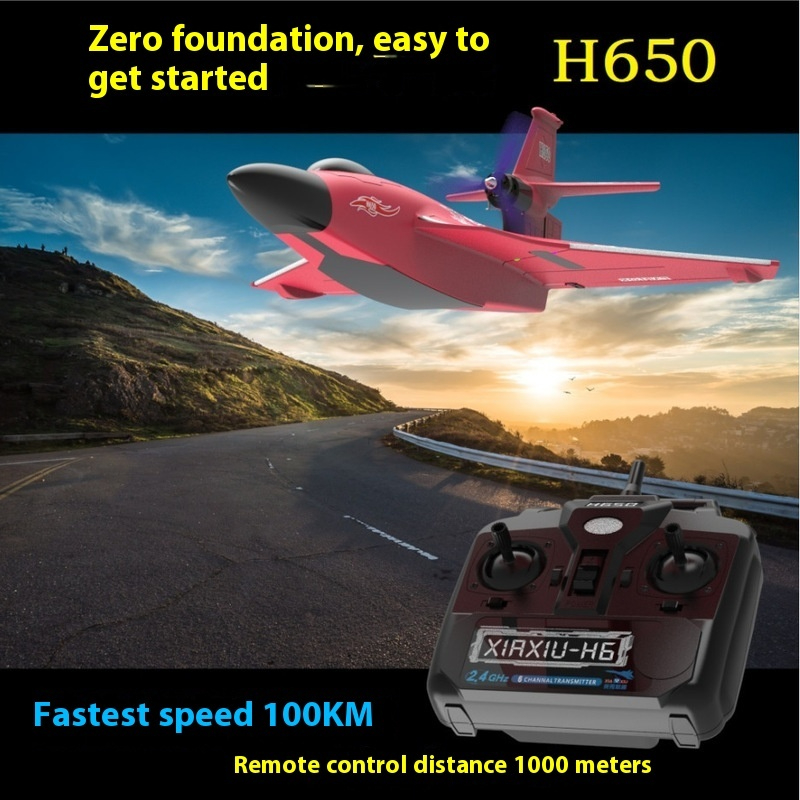 H650 Large RC Plane Fixed Wing - Rc Glider Foam Wing recension och pris