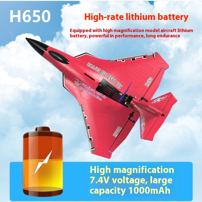 H650 Large RC Plane Fixed Wing - Rc Glider Foam Wing recension och pris