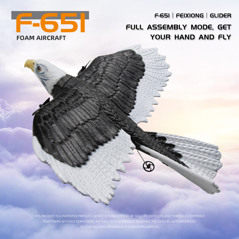 JIKEFUN FX-651 RC Glider 2.4G  - Rc Glider Foam Wing recension och pris