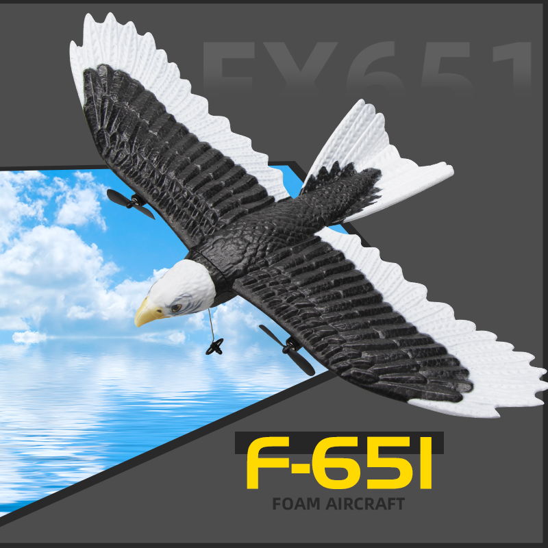 JIKEFUN FX-651 RC Glider 2.4G  - Rc Glider Foam Wing recension och pris